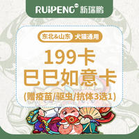 【东北&山东】199卡-巳巳如意卡 199巳巳如意卡